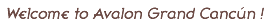Wellcome to Avalon baccara Cancun